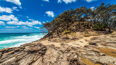 Bushes on the beachの写真素材
