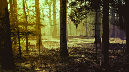 Forest layersの写真素材