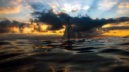 In the oceanの写真素材