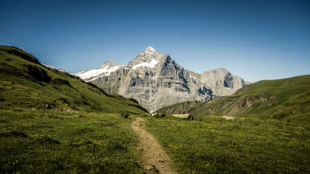 Road to the mountainの写真素材