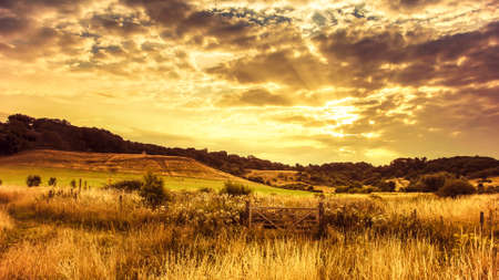 Rural sunsetの写真素材