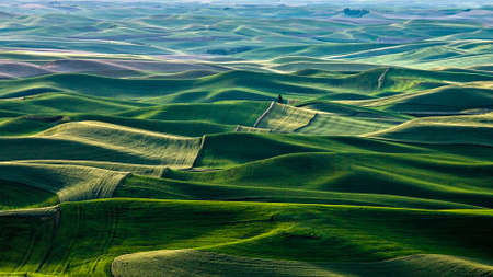 Beautiful shaped rural green hillsの写真素材