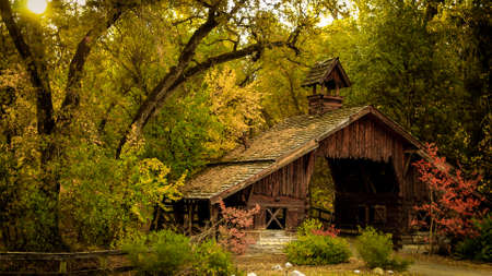 Old wooden barn in the forestの写真素材