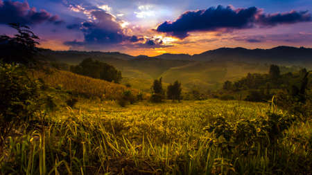 Rural sun rays at dusk