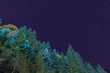 A clear sky and green forest sceneの写真素材