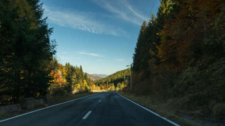 A road to nature landscapeの写真素材