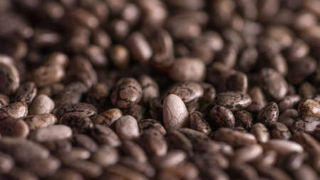 Chia seeds in focus macroの写真素材