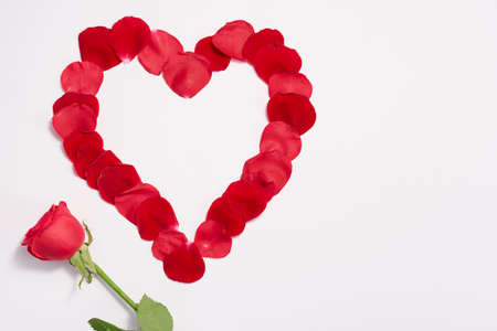 White background with rose petals forming a heart and I love you.の写真素材