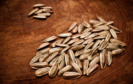 sunflower seeds on tableの写真素材