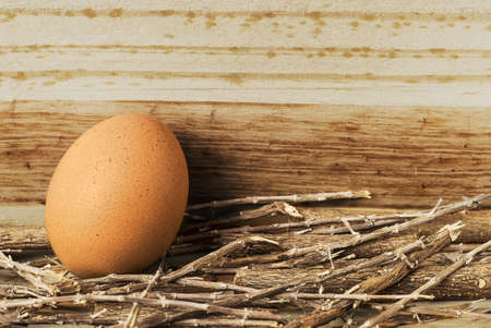 brown egg, tableの写真素材