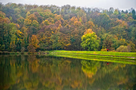 Autumn forestの写真素材