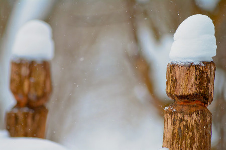 Cold dayの写真素材