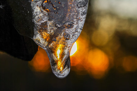 Macro shot of icicles on the roof of the house.