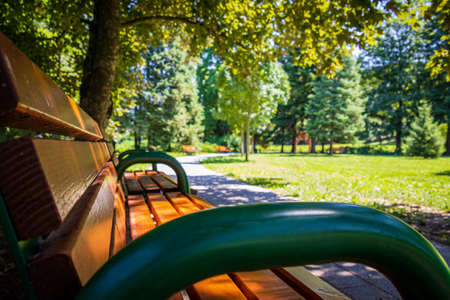 A lonely bench in an empty, sunny parkの写真素材