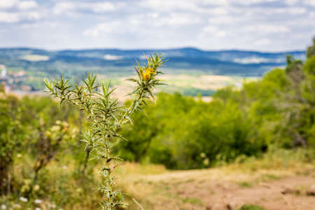 The view from Tihany Peninsula near Lake Balaton, Hungaryの写真素材