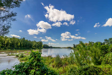 River Drava in Danube-Drava National Park (Danube-Drava National Park), Hungaryの写真素材