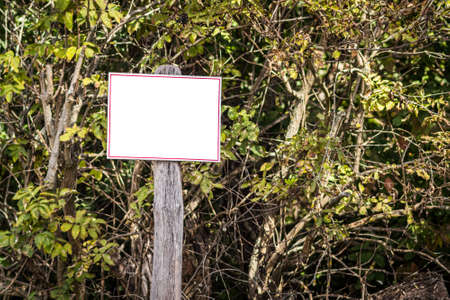 An empty sign post in the forestの写真素材