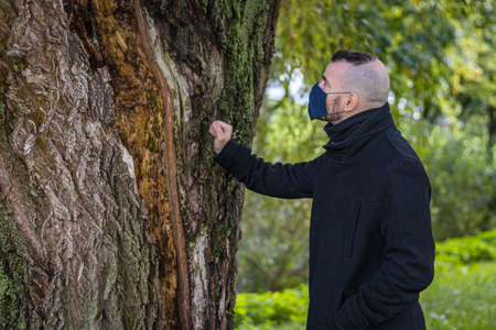 A man watch an old tree in a local park in a mask