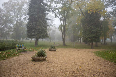 Foggy autumn morning in a park in City Zalaegerszeg, Hungary