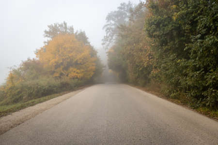 Foggy autumn morning at Spring Aranyoslapi in City Zalaegerszeg, Hungaryの写真素材