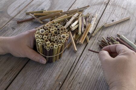 Do it yourself insect hotel made from hollow plant stalksの写真素材