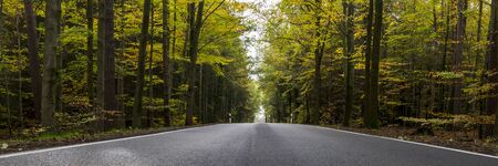 Country Road Banner, Panorama, Panoramic, Background. Rural country road in the woods.