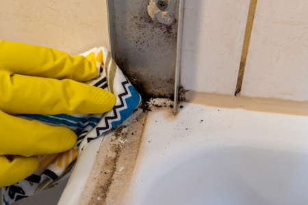 dirty tile cleaning and mold removing from groutの写真素材