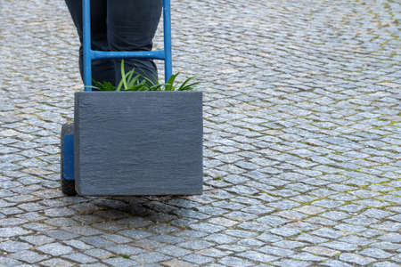 Protect potted plants from frost and bring them into the winter quarters.の写真素材
