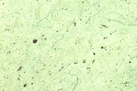 Pattern of Korean traditional paperの写真素材