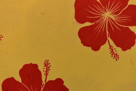 Korean traditional craft paperの写真素材