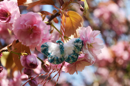 Handmade crocheted butterfly, with a red and white string, known as Martisor, on a blossoming cherry tree branch. It is a Romanian traditional symbol of the beginning of spring.の写真素材