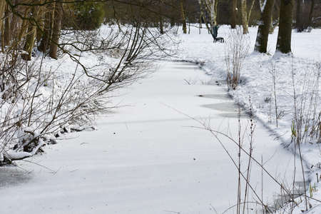 Snowy winter landscape with frozen lake, in the city park.の写真素材