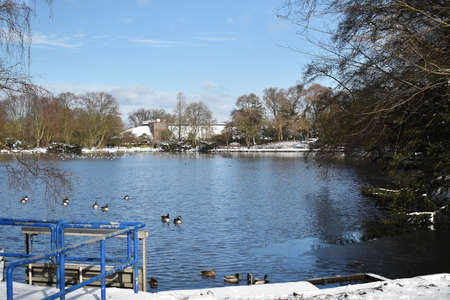 Snowy winter landscape with lake and birds, in the city park.の写真素材