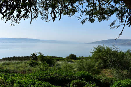 Shore of the Sea of Galilee, Israel.の写真素材