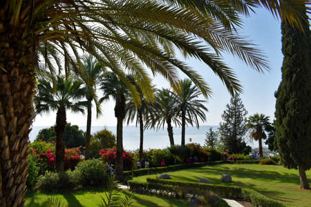 Beautiful garden overlooking the Sea of Galilee, Israel.の写真素材
