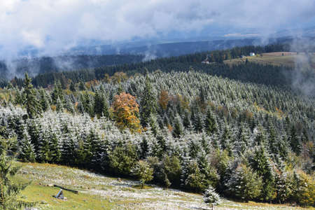 Beautiful landscape with fir forest and the first snowfall, at Tihuta Pass in Romania.
