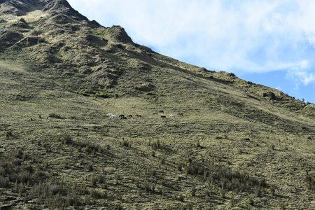 Andean mountain scenery along the Salkantay trek to Machu Picchu, Peru.の写真素材