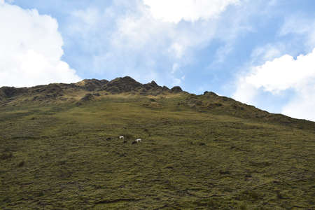 Andean mountain scenery along the Salkantay trek to Machu Picchu, Peru.の写真素材