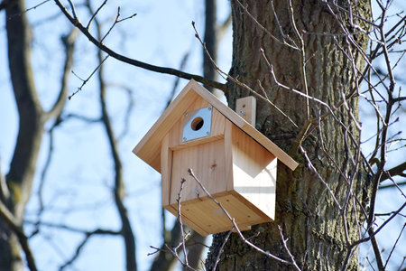 Close up of a handmade wooden birdhouse on tree, in the park.
