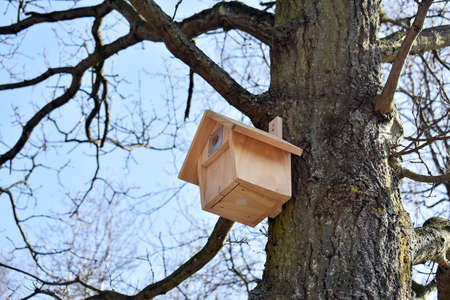 Close up of a handmade wooden birdhouse on tree, in the park.の写真素材