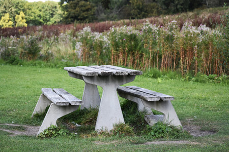 Wooden table with benches in the city park.の写真素材