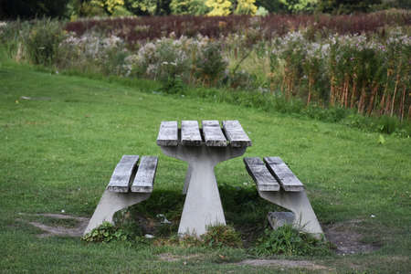 Wooden table with benches in the city park.の写真素材