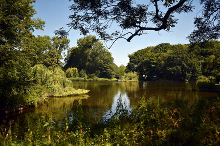 Beautiful summer landscape with lake, trees and plants in the park.