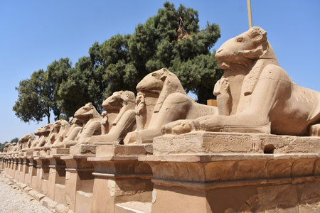 22- March- 2022. Row of ram-headed sphinxes at Karnak Temple, Luxor, Egypt.のeditorial素材