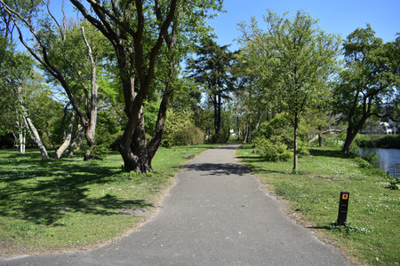 Spring landscape with trees and pathway, in the city park. Sunny day with blue sky.