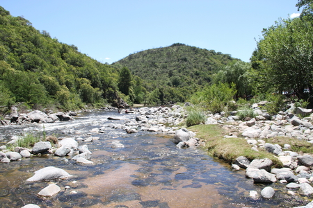 mountain stream and stones in summerの写真素材
