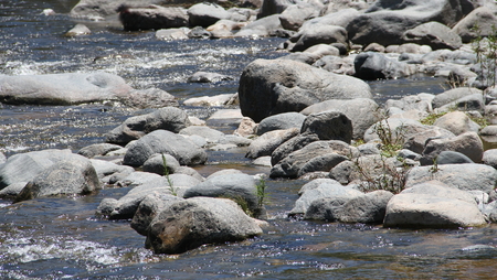 mountain stream and stones in summerの写真素材