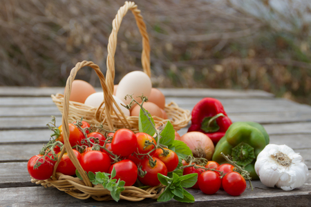 Eggs and vegetables from the organic gardenの写真素材