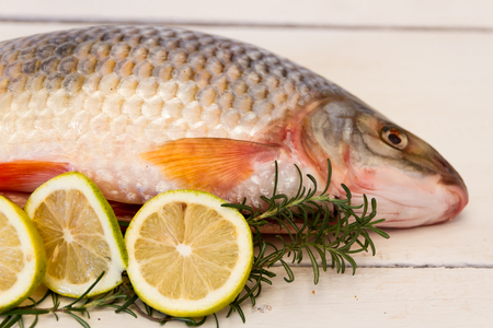 river fish with lemon and rosemaryの写真素材
