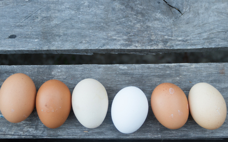 decorative border of eggs on rustic wood